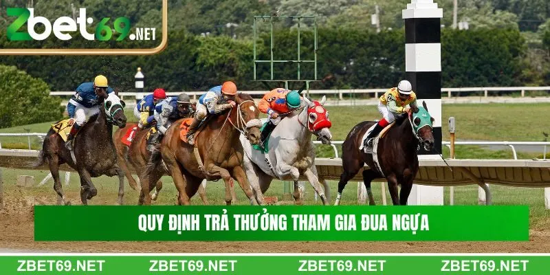 Tổng hợp quy định trả thưởng khi tham gia Đua ngựa