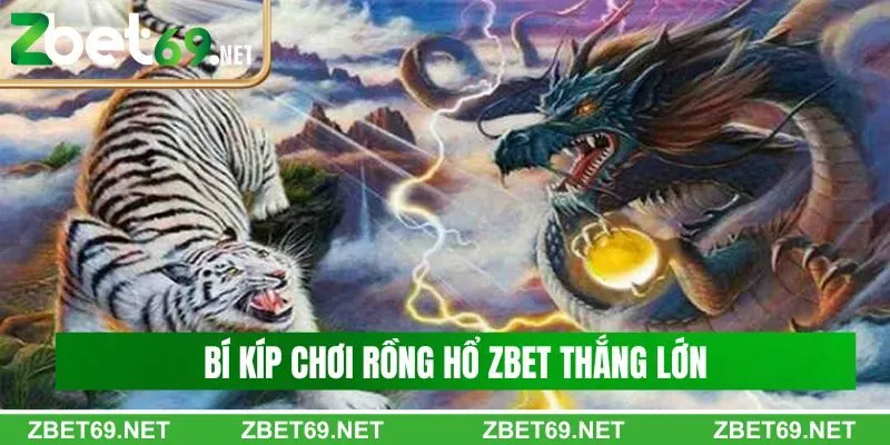 Bí kíp chơi rồng hổ Zbet thắng lớn cho người mới