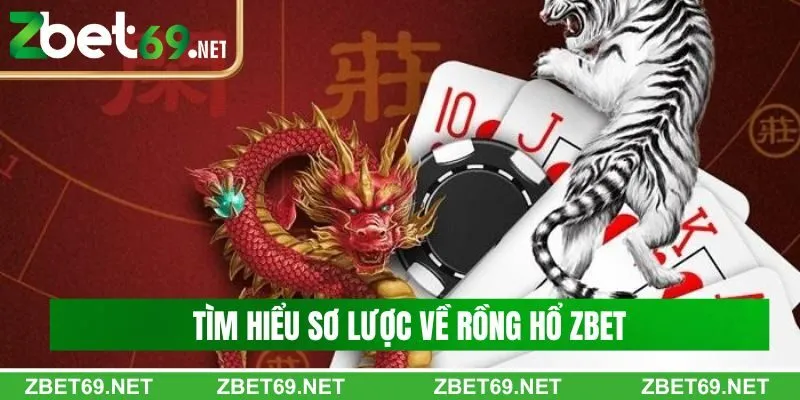 Tìm hiểu sơ lược về rồng hổ Zbet