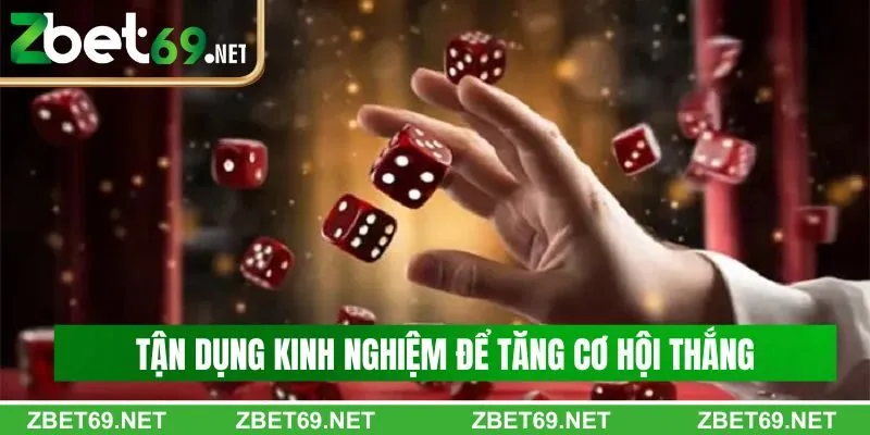 Tận dụng nhiều kinh nghiệm từ chuyên gia để tăng cơ hội thắng